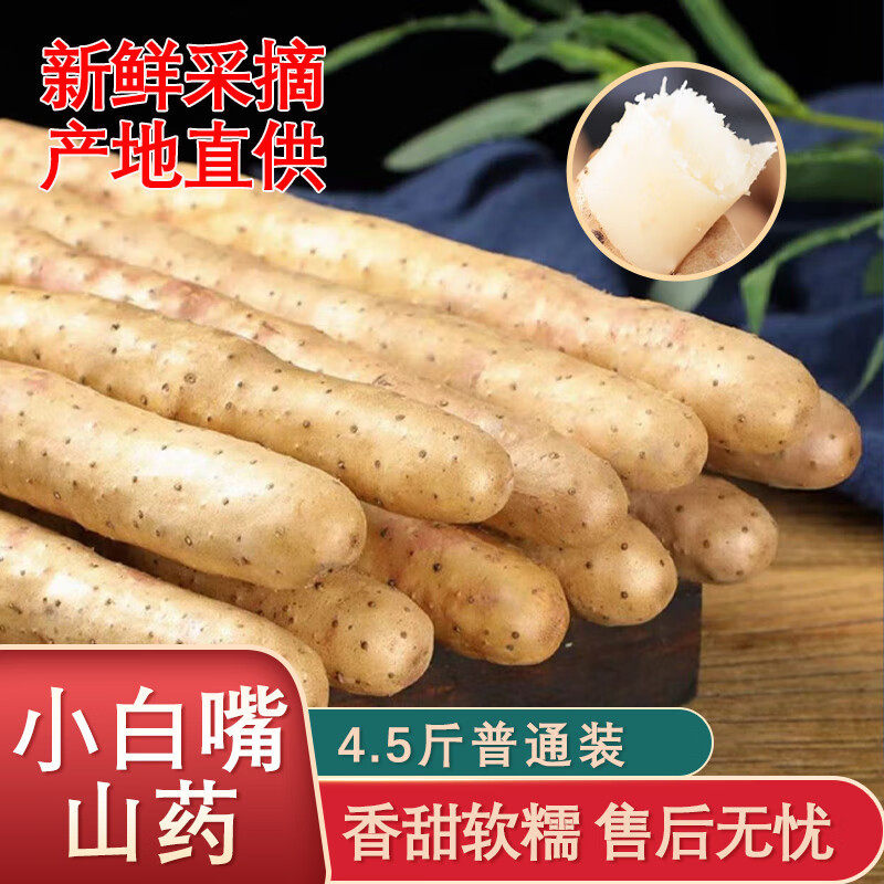 小白嘴山药新鲜淮山药铁杆山药小白嘴现挖4.5斤垆土怀山药