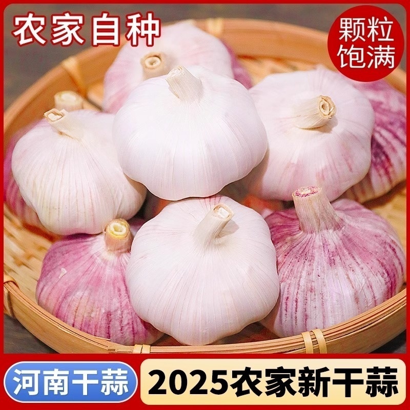 2025年新干蒜大蒜头蒜