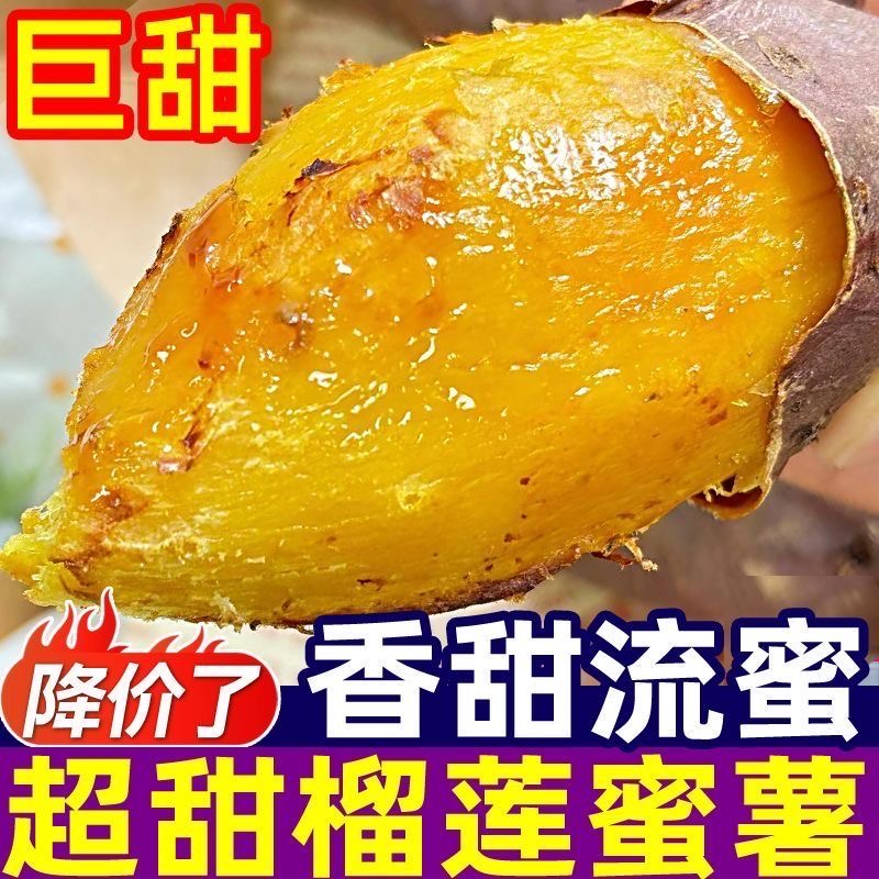 真榴莲蜜薯正宗黄心红薯