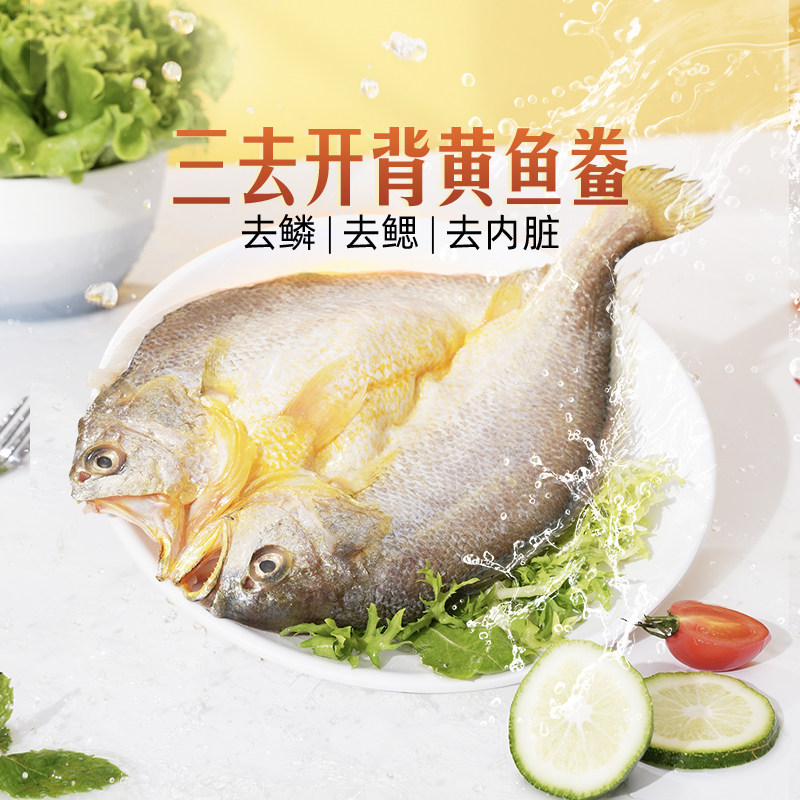 东方甄选黄鱼鲞5条装共1300g图片