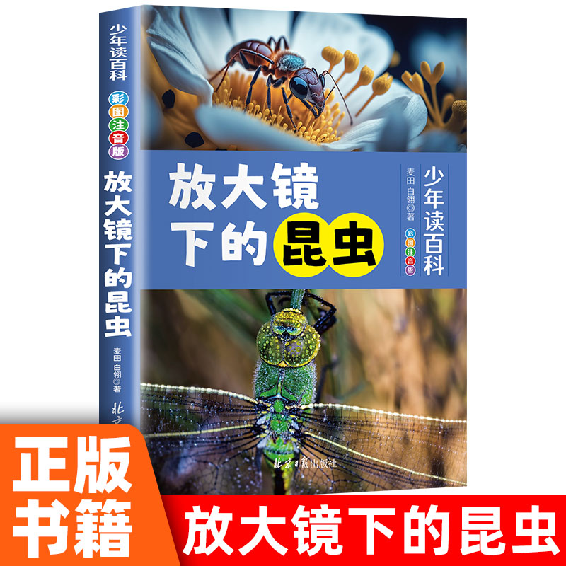 正版彩图注音版少年百科阅读 放大镜下的昆虫青少年儿童百科全书二三四五六年级课外书必读写给儿童的昆虫图书