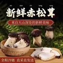 顺丰 2025新鲜赤松茸食用菌菇2斤非野生姬松茸煲汤火锅炒菜鲜 包邮