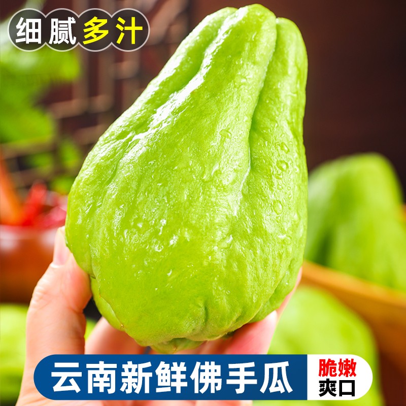 云南新鲜农家蔬菜佛手瓜