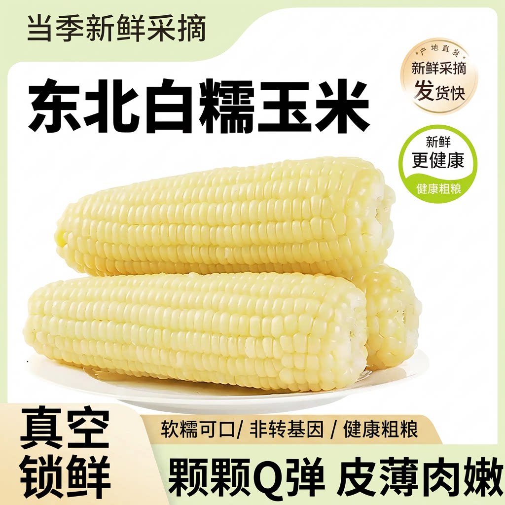 东北白糯玉米棒新鲜真空包装早餐粗粮香甜糯真空装软糯当季正宗