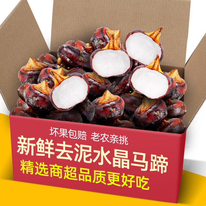 安徽特产现挖水晶马蹄