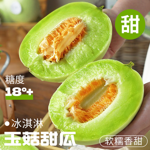正宗冰淇淋玉菇甜瓜！新鲜现摘！