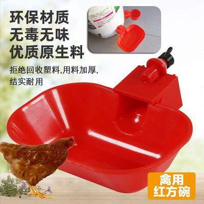 养鸡用自动饮水器鸡鸭鹅饮水碗喝水碗鸟喂水神器雏芦丁鸡小鸡养殖