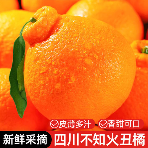 四川不知火丑橘皮薄多汁香甜