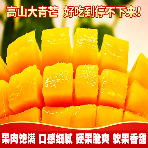 滇老头云南大青芒果爆甜生熟两吃