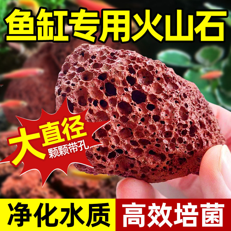 火山石鱼缸颗粒水族垫底砂生态造景专用大块火山岩养鱼乌龟过滤用,鲜花速递/花卉仿真/绿植园艺,介质/营养土,淘宝优惠券,粉丝福利购,淘宝优惠卷