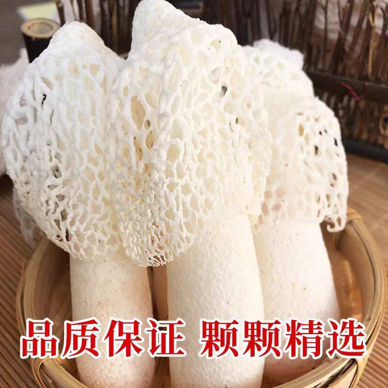新鲜竹荪现采现发竹荪菌新鲜鲜活顺丰冷链空运煲汤火锅食用菌菇