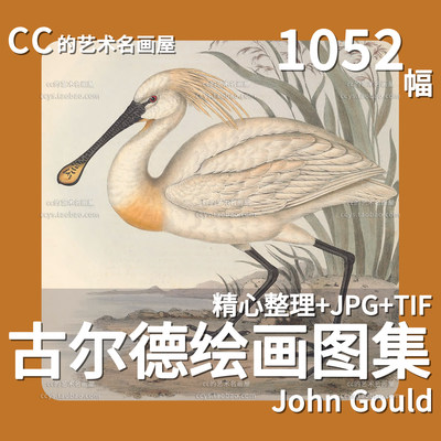 约翰 古尔德 John Gould 油画合集图集禽鸟哺乳动物绘画临摹素材