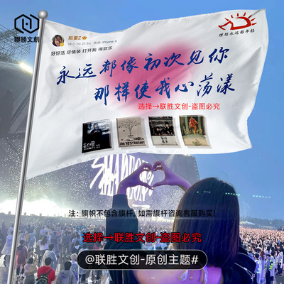 赵雷应援大旗草莓音乐节旗帜户外摇滚旗子定制刺猬没有信号周边