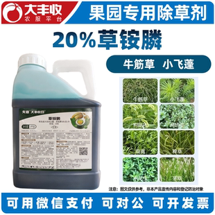 20%草铵膦 除草剂荒地果园杂草锄草剂草铵磷灭草农药除草剂果园