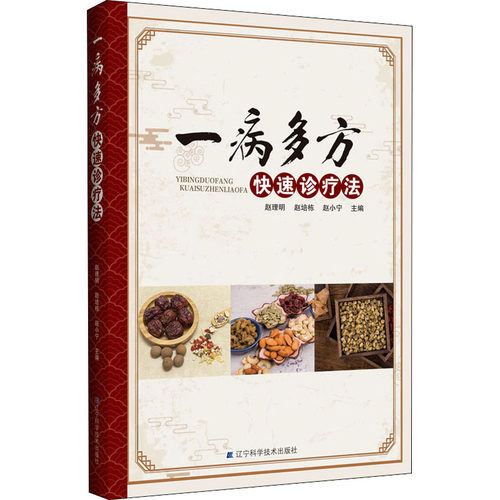 一病多方快速诊疗法 辽宁科学技术出版社 赵理明,赵培栋,赵小宁 著 医学其它