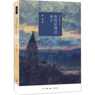 著 如彗星划过夜空 林达 生活·读书·新知三联书店 世界政治 近距离看美国之四