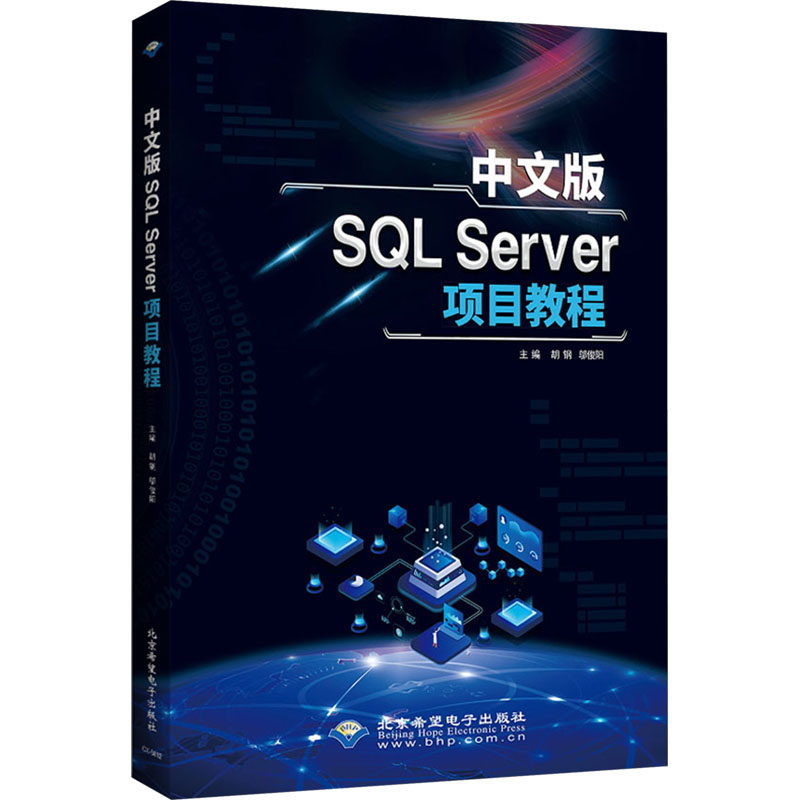 中文版SQLSERVER项目教程 北京希望电子出版社 胡钢，邬俊阳 著 数据库