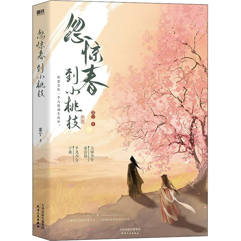 忽惊春到小桃枝 天津人民出版社 黍宁 著 青春/都市/言情/轻小说