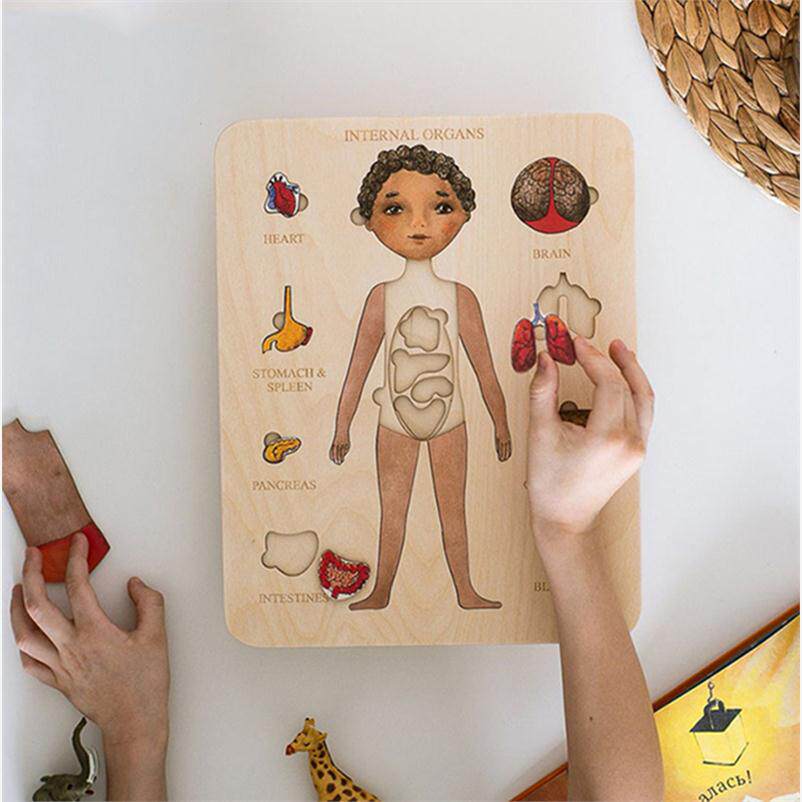 Montessori Wooden Human Body Puzzle Body Parts Organs Puzzle