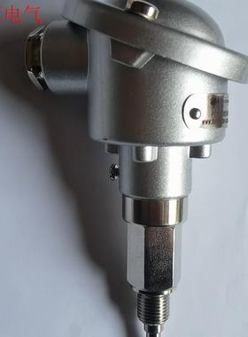 热测温度传感器,PT100,THERMOTRON-CE,探头(议价)