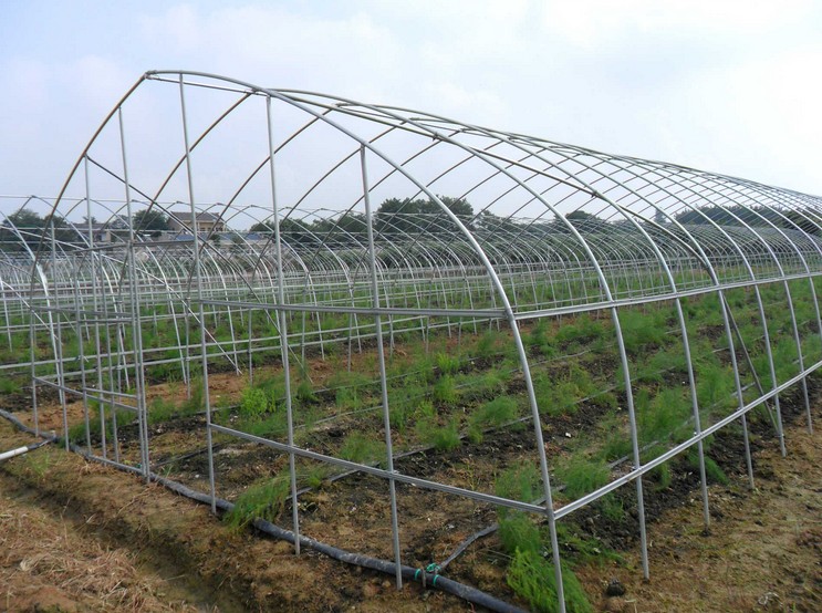 新25825热镀锌温室o大棚骨架种植养殖 钢管大棚蔬菜农用连栋棚配