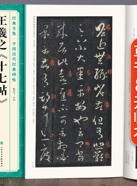 经典全集 王羲之《十七帖》中国历代碑帖精粹译文简体注释东晋草书毛笔字帖书法成人学生临摹帖练古帖练字中国美院出版社 杨建飞