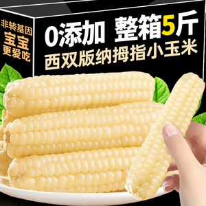 云南西双版纳拇指玉米新鲜真空即食甜香糯手指小玉米宝宝儿童早餐