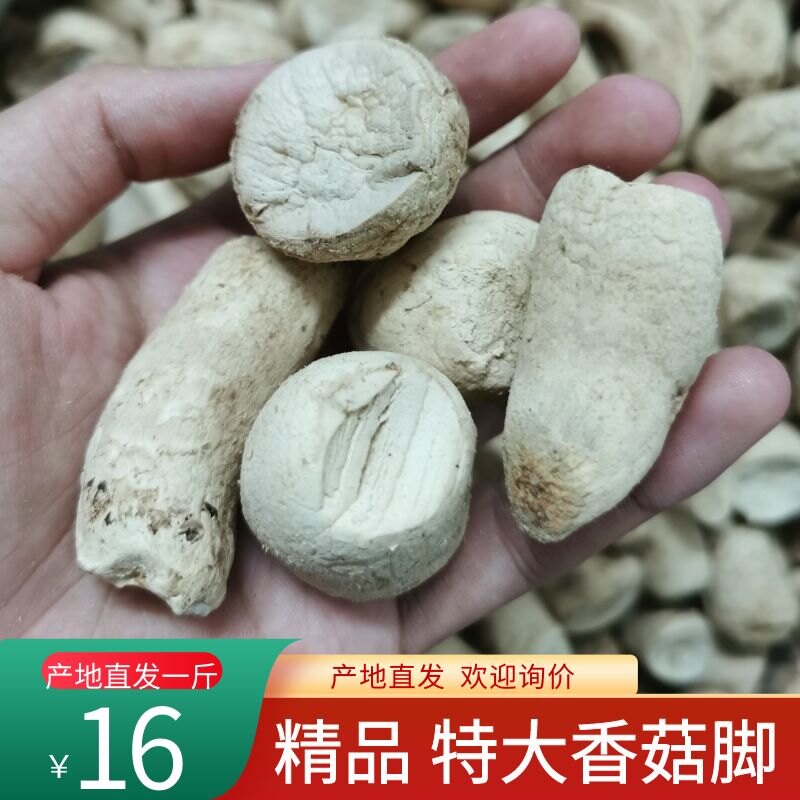 农家特大云南特产香菇脚干货双剪干香菇根散装大号香菇脚五斤包邮