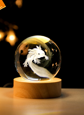 发光蝾螈水晶球小夜灯桌面摆件创意海豚玻璃球装饰品妈妈生日礼物