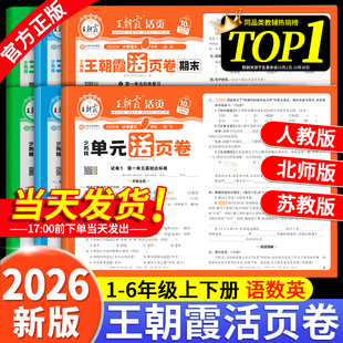 北师苏教版 2026春王朝霞试卷单元 活页卷默写计算能手期末一二三四五六年级上下册123456小学同步专项测试卷全套语文数学英语人教版