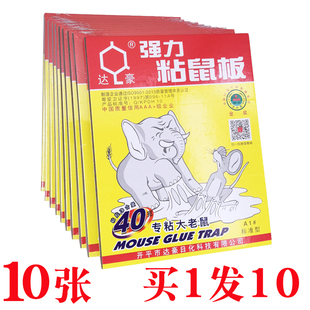 达豪超强力粘鼠板加大加厚粘鼠胶家用捕鼠神器一窝端耗子贴灭鼠夹