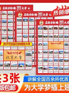 抖音爆款名校目标墙贴985/211全套3张大学介绍墙全国百所优质高考高中教室挂图名牌激励榜讲解墙纸成为学霸从大学选起学霸大学城