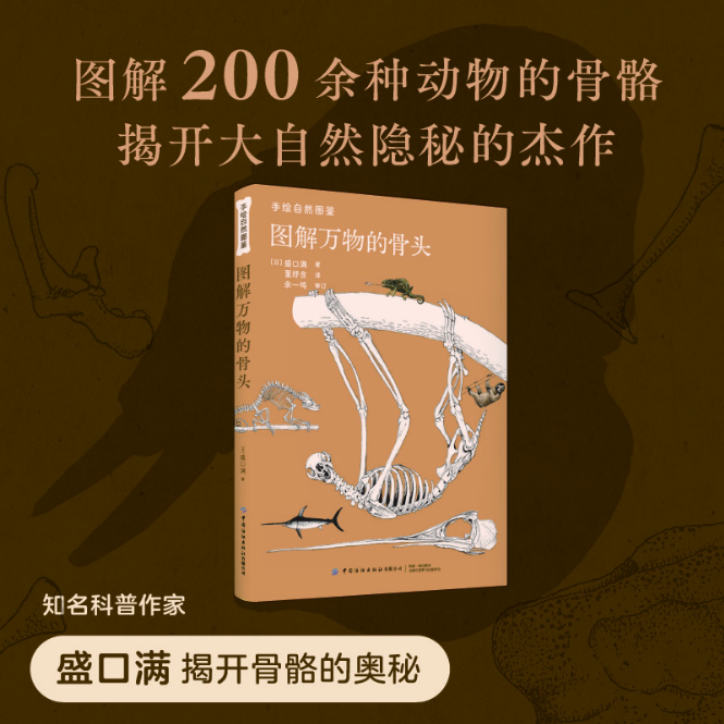 图解万物的骨头 知名科普作家盛口满揭开骨骼的奥秘 图解鱼类哺乳类两栖类鸟类脊椎动物等200余种动物的骨骼揭开大自然隐秘的杰作
