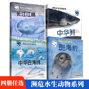 【任选】濒危水生动物系列--长江江豚+中华鲟+中华白海豚+斑海豹 儿童绘本3–6岁幼儿园绘本阅读儿童故事书3-6儿童趣味百科全书