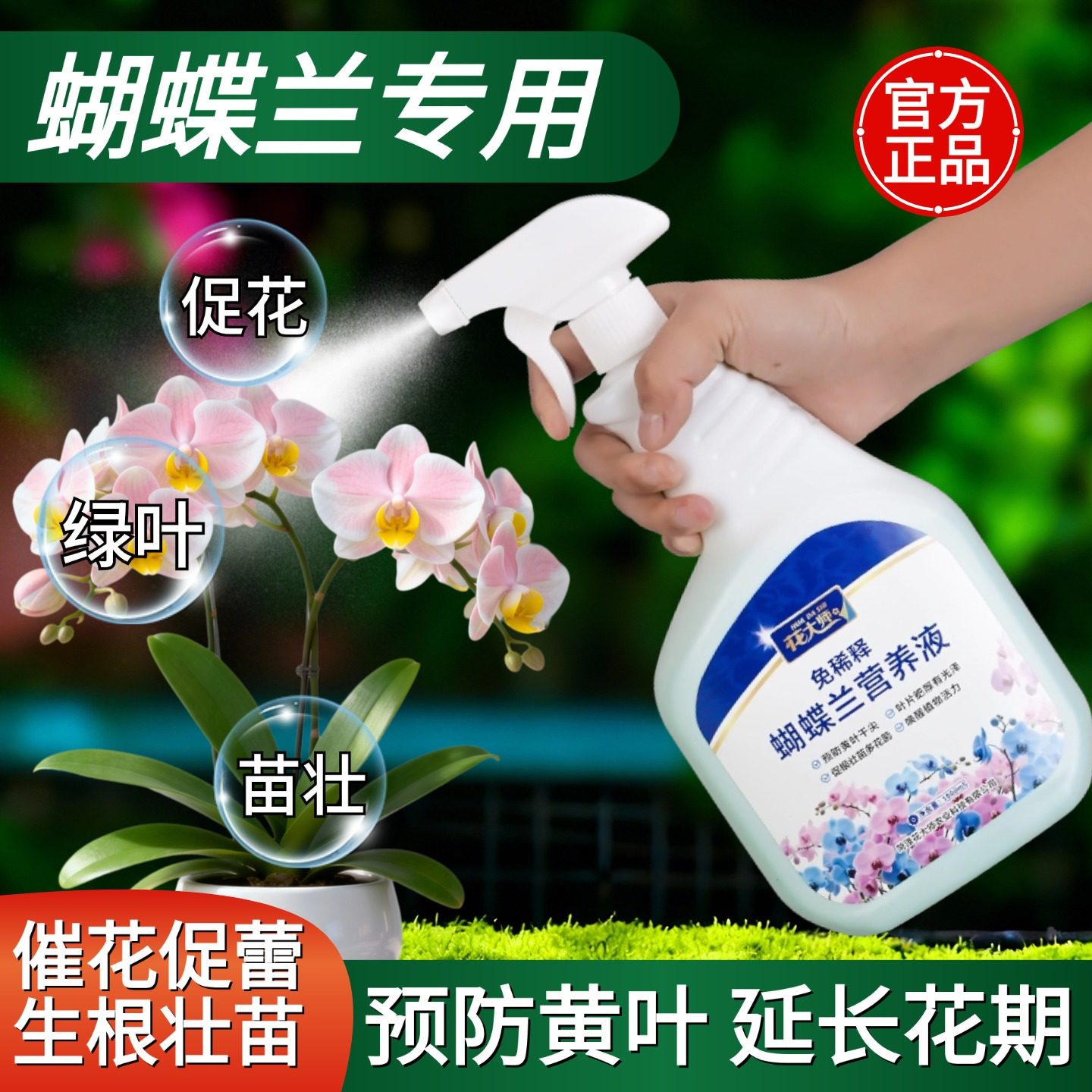 蝴蝶兰营养液免稀释专用肥兰花肥料促进开花延长花期液体肥营养肥,鲜花速递/花卉仿真/绿植园艺,家庭园艺肥料,淘宝优惠券,粉丝福利购,淘宝优惠卷