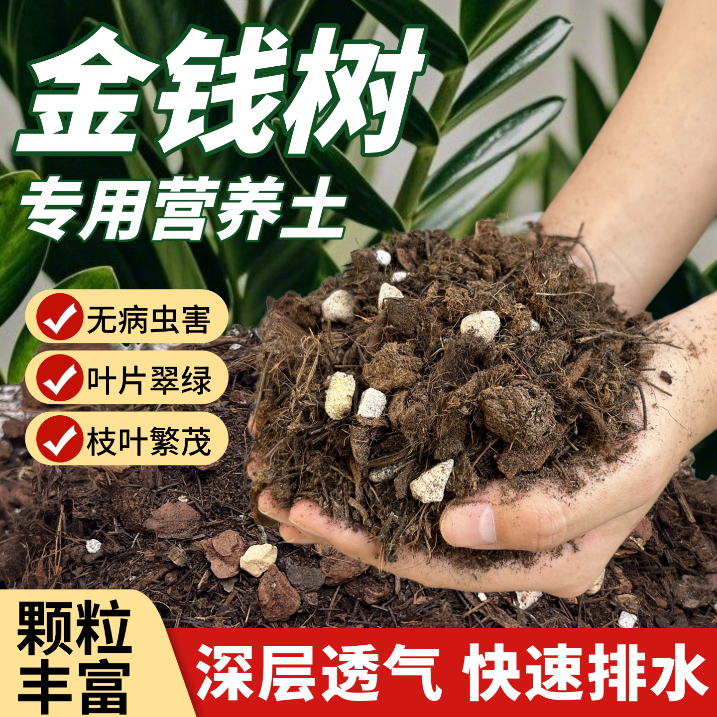金钱树专用土营养土种植室内盆栽