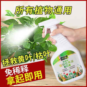 花大师花肥营养液黄叶变绿1000ml