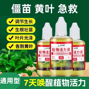 植物活力素植物营养液生根水改善黄叶僵苗养花专用绿植通用水溶肥