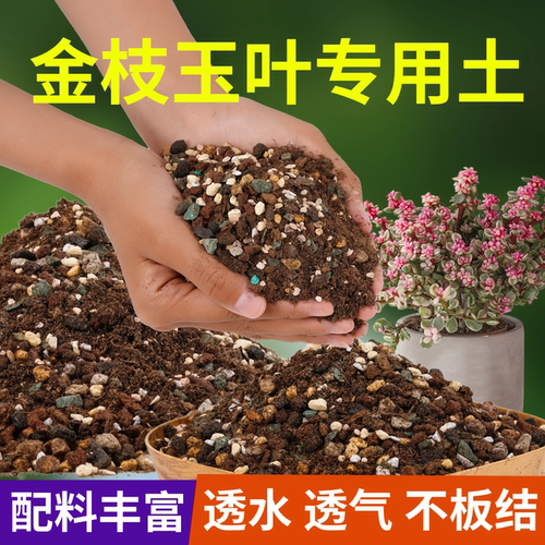 正品花大师店铺评价过万极速发货