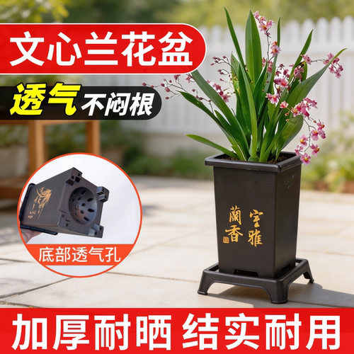 文心兰专用盆方形花盆高端仿紫砂