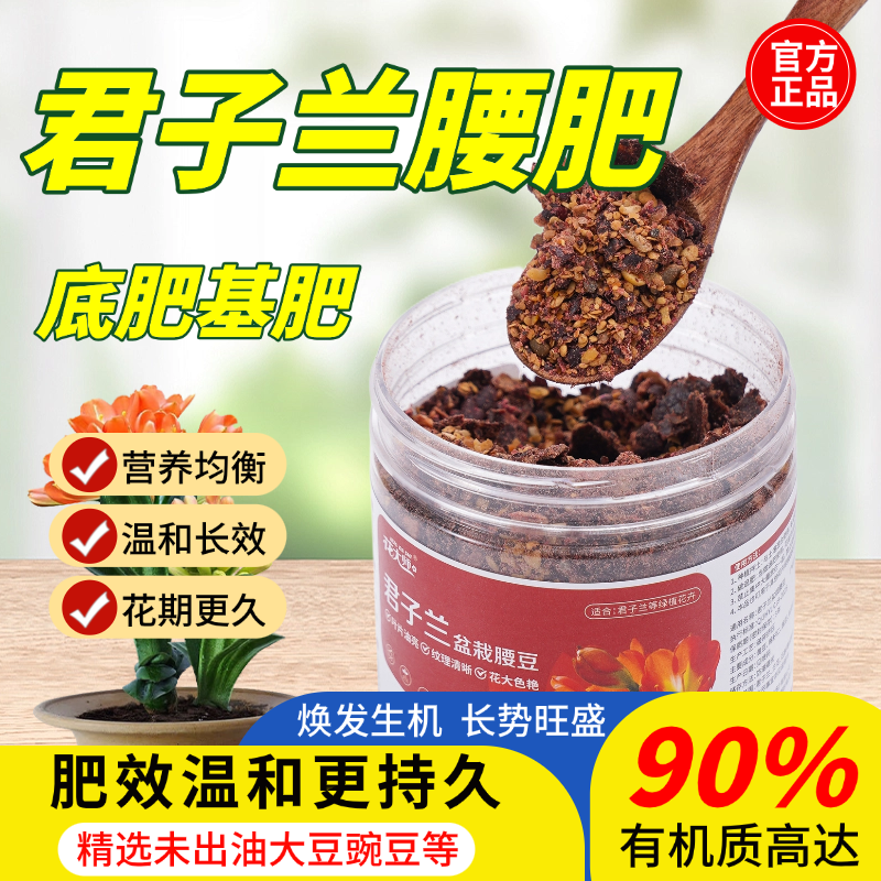 君子兰腐熟腰肥促开花爆根营养肥