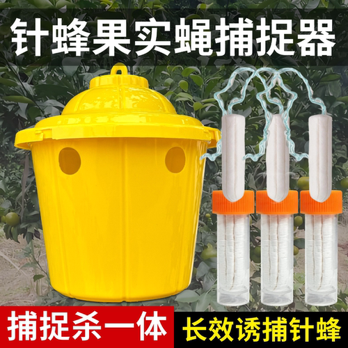 针锋果实蝇引诱剂专用药诱捕一体
