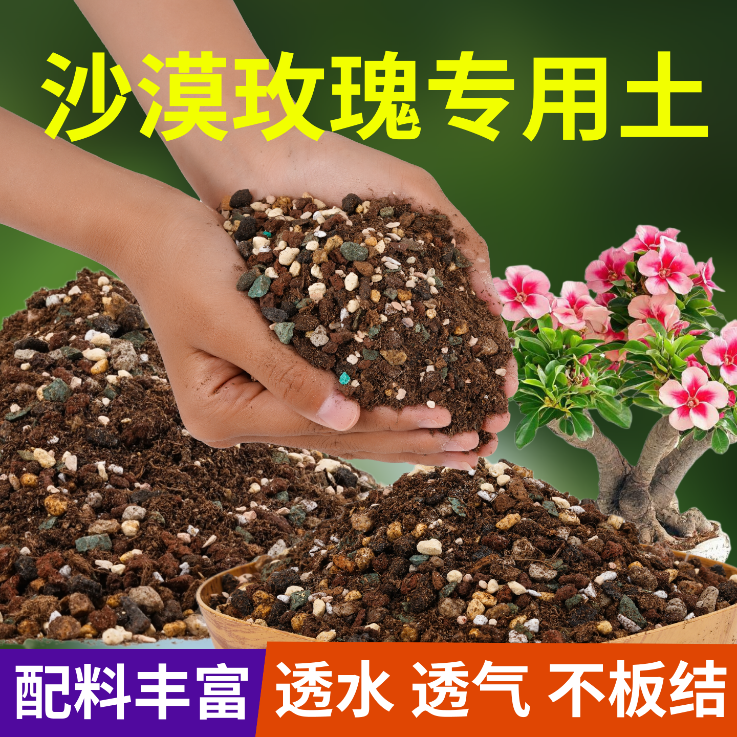 花大师沙漠玫瑰专用土颗粒营养土山地玫瑰虎刺梅盆栽纯颗粒排水快