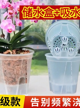 蝴蝶兰花盆专用懒人盆储水自吸水透明控根透气兰花石斛用绿植塑料