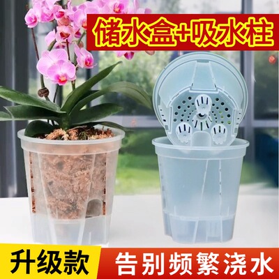 新款蝴蝶兰自吸水储水盆升级款