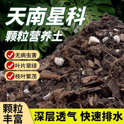 花大师天南星科专用颗粒土高透气