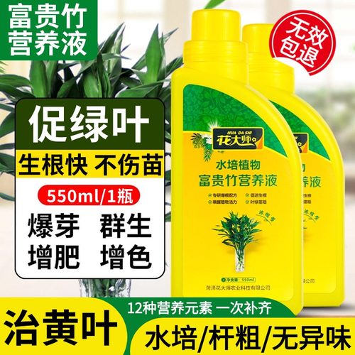 花大师富贵竹专用肥专治黄叶生根