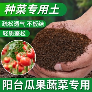 阳台种菜专用土 营养土专用楼顶土壤蔬菜营养土有机泥炭土种植土
