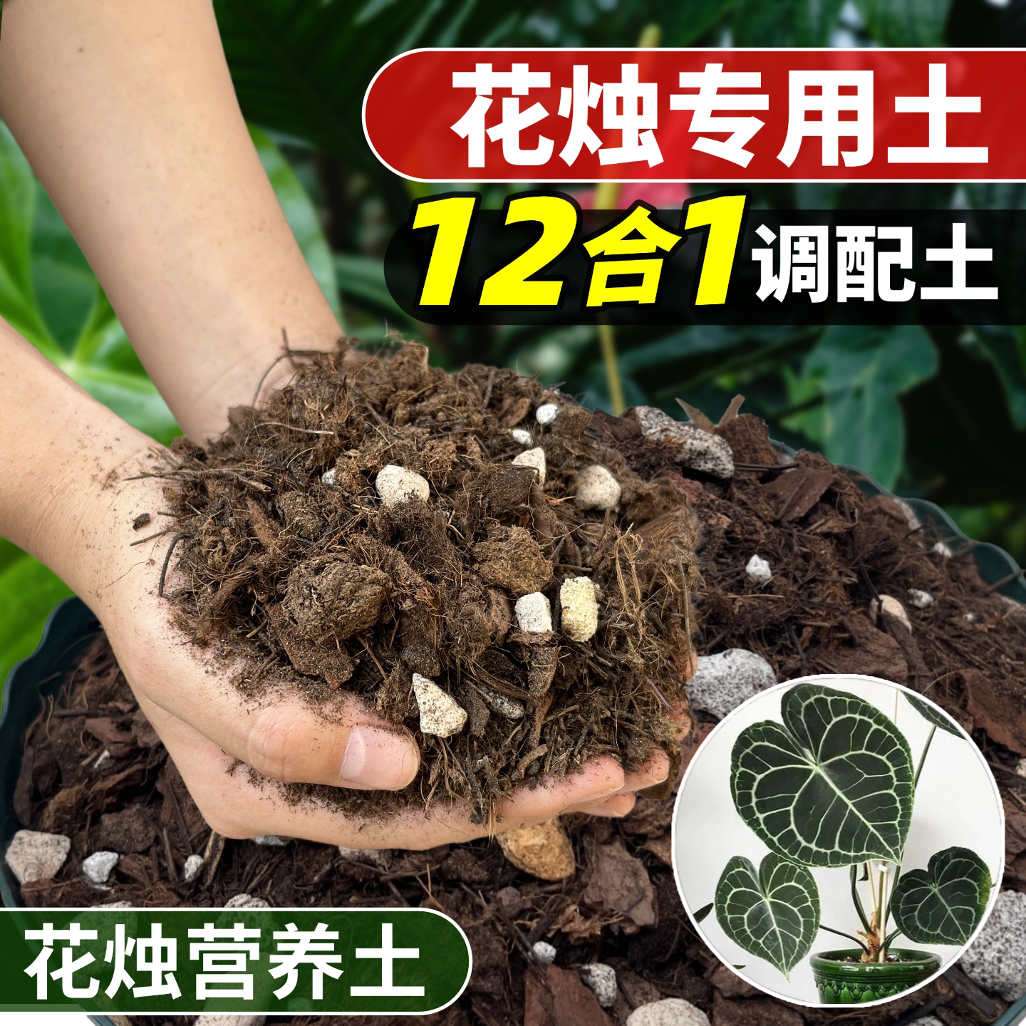 正品花大师店铺评价过万极速发货图片