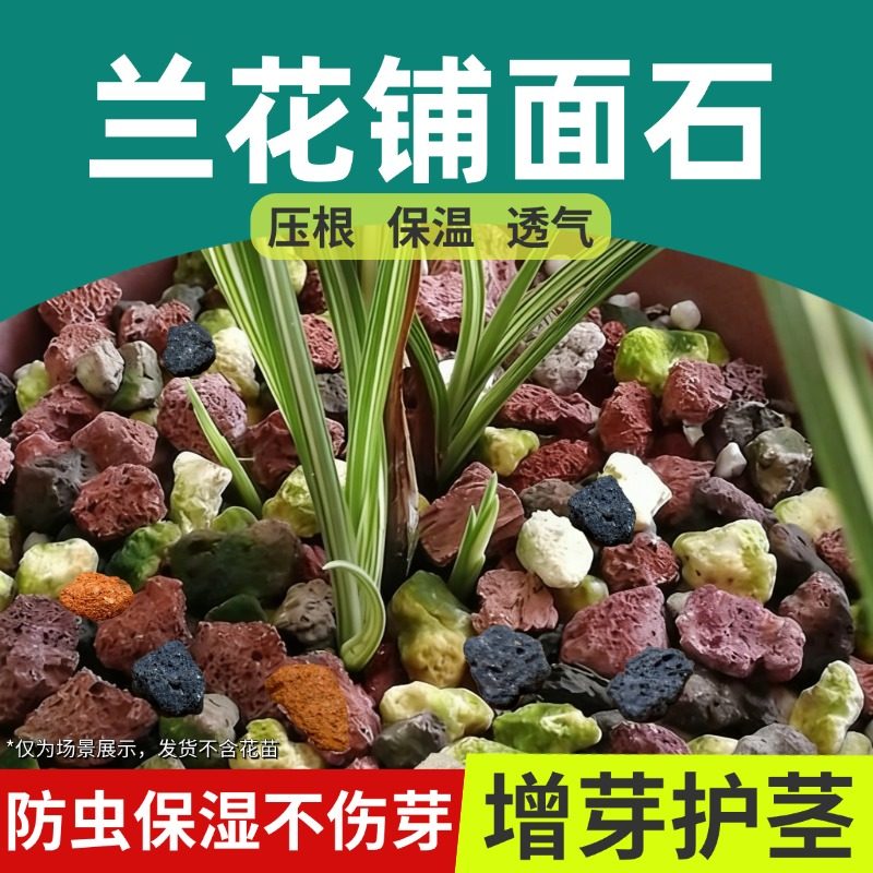 兰花专用铺面石料花盆养花的小石头白红火烧土颗粒火山石子金植料